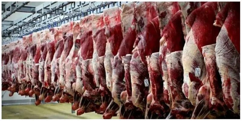 حذف ارز ترجیحی گوشت قرمز/ هشدار درباره حذف این کالا از سفر مردم