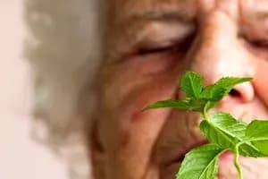 دارویی طبیعی برای پوست، مو و تعادل هورمونی