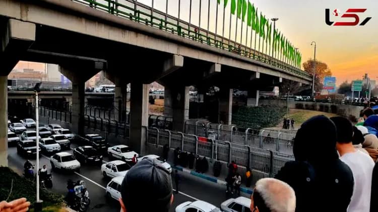 دارویی طبیعی برای پوست، مو و تعادل هورمونی