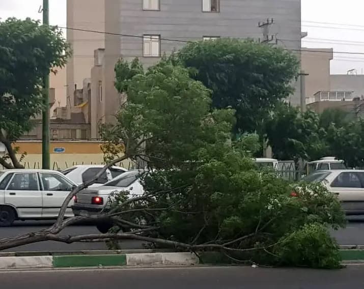 ترند