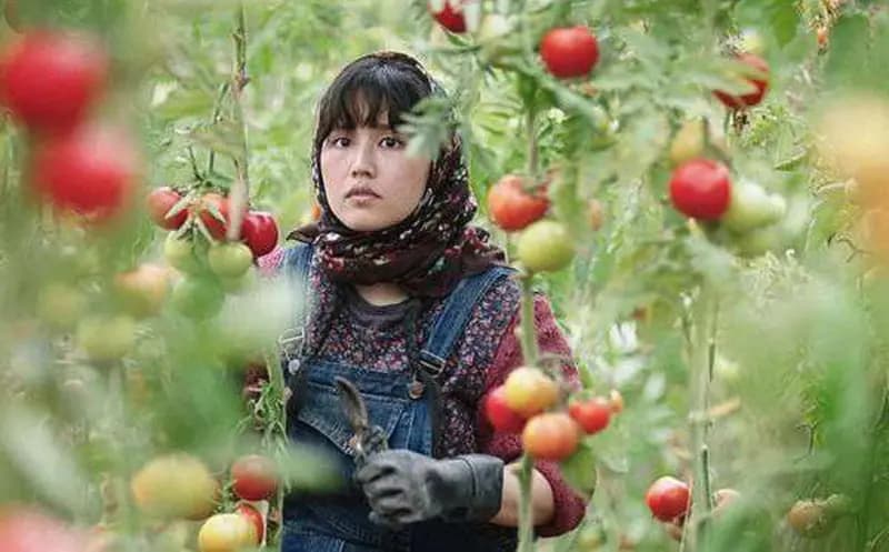 نقد و بررسی فیلم در سرزمین برادران | روایت زندگی افغانستانی‌های مقیم ایران
