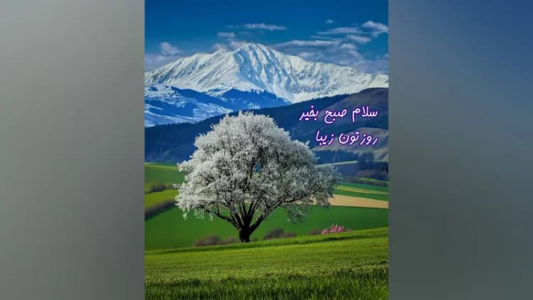 ترند