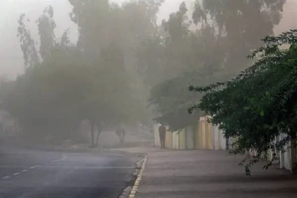 وصال دانشجویی با عطر رضوی؛ جشن ازدواج ۱۱۰ دانشجو در بیرجند