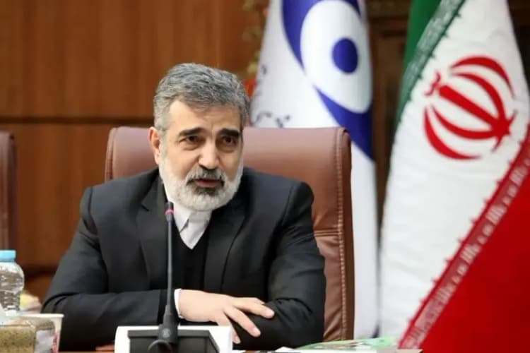 اخباری که باید در تاریخ ثبت بشه