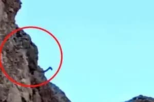 پایان تلخ جستجوها، جسد الهه حسین نژاد پیدا شد