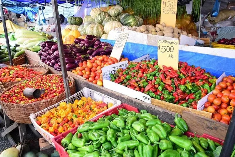 فقط یک کشور در دنیا غذای کافی برای تامین نیازهای خود را تولید می‌کند(+اینفوگرافی)