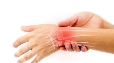 فعالیت ۱۵ مرکز عرضه دام بهداشتی در تهران برای عید قربان