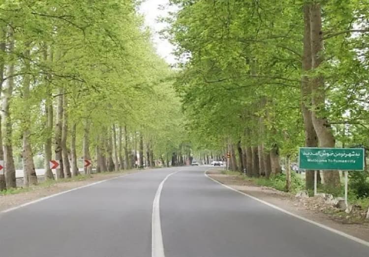 ترند