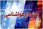 هم‌‏میهن و قناری‌‏های خاموش
