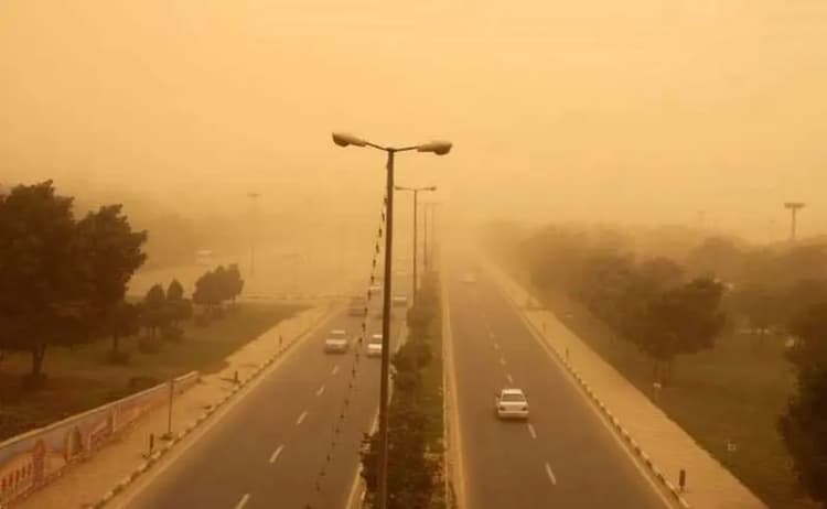 مقابله با ملخ‌ها در گلستان کلید خورد