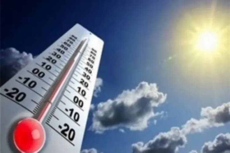 قتل پسر جوان با ضربات چاقو در جنوب تهران/ قاتل دستگیر شد