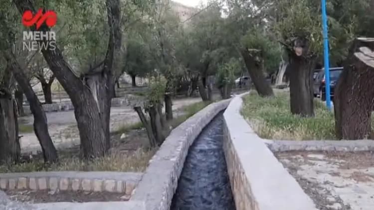 ترند