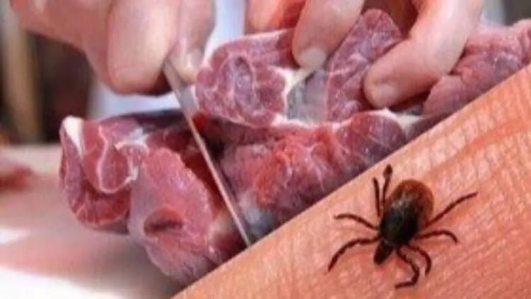 لزوم افزایش صادرات دارو و تجهیزات پزشکی