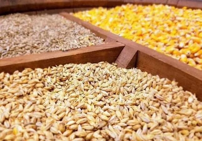 فوری؛ قطع گسترده برق در غرب تهران/ علت چیست؟