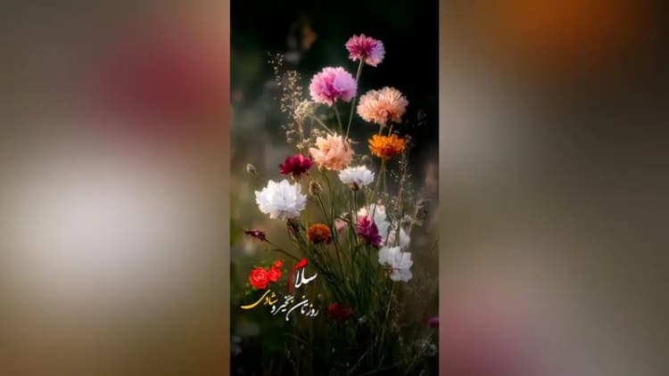آواز شاد؛ جواد رضویان با آهنگ تو ماه روشنی جلو علی اوجی چه رقص اسلوموشنی میره
