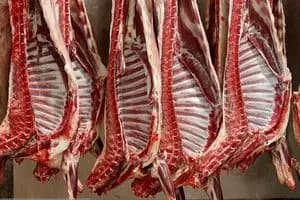 تداوم واردات گوشت یا توقف عرضه؛ تصمیم چیست؟