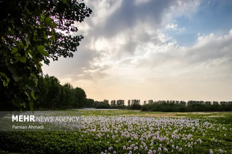 پیشرفت ۳۸ درصدی پروژه ۱۰۸ واحدی مسکن ملی درمنظریه شهرکرد