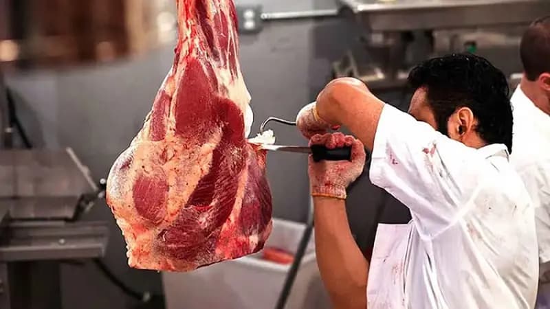 حذف ارز ترجیحی برای واردات گوشت؛ حمایت از تولید داخلی و مدیریت بازار