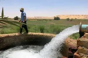 ترند