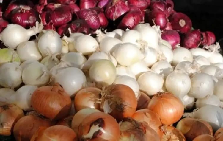 بحران بزرگ در منابع آبی ایران: بحرانی‌ترین سال آبی است