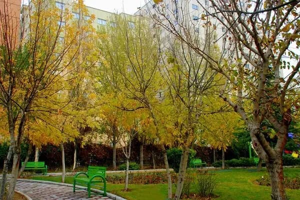 بوستان ملل در منطقه ۳ تهران افتتاح شد