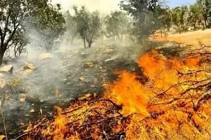 آتش سوزی در منطقه شارلق پارک ملی گلستان