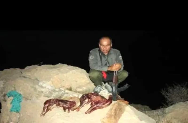 محیط‌بان برجسته ایرانی به شهادت رسید