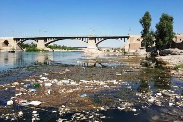 نحوه دستگیری قاتل الهه حسین نژاد+ فیلم