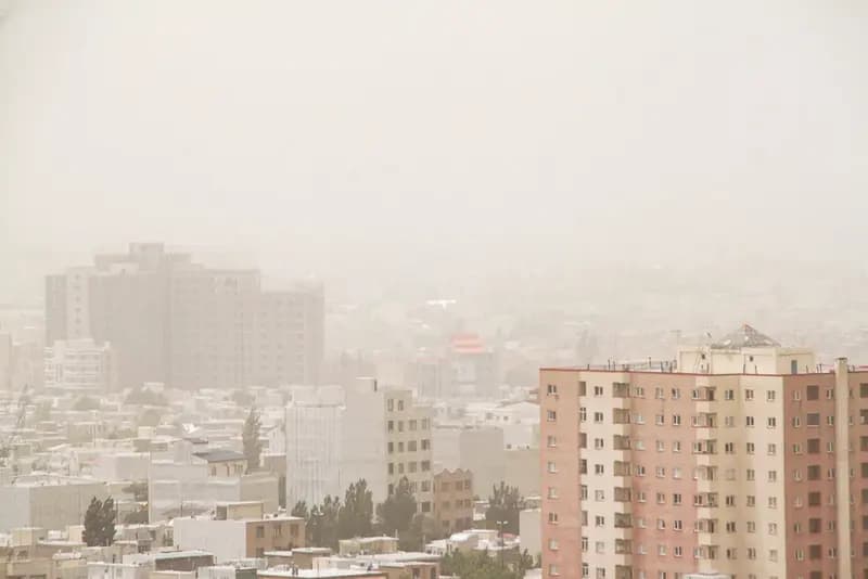 ترند