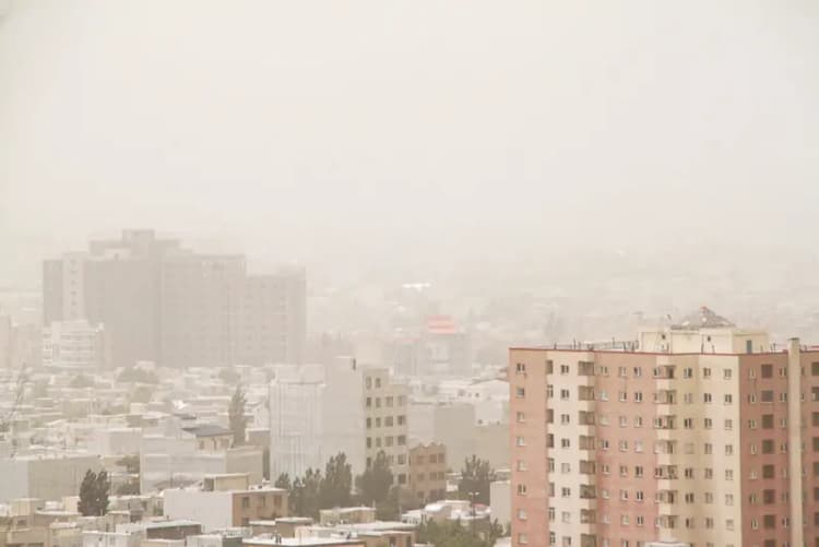 ترند