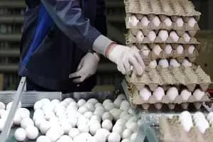 برنامه قطع برق کهگیلویه و بویراحمد و یاسوج امروز پنجشنبه ۸ خرداد ۱۴۰۴