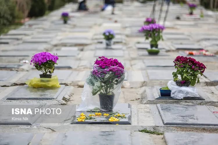 ۲۵۰ هکتار سوخت؛ کهنسال‌ترین درختان جنوب ایران در شعله آتش هماگ خاکستر شدند /  از اورس‌های ۳۰۰ ساله تا گون‌های کهن و مراتع بومی + فیلم