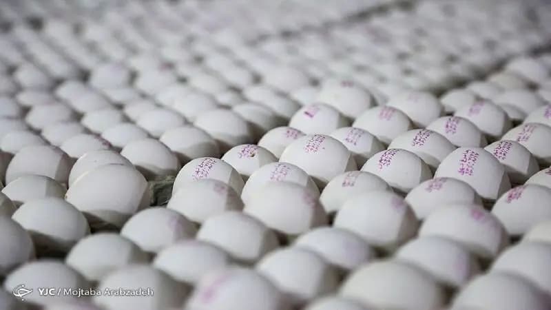 ترند