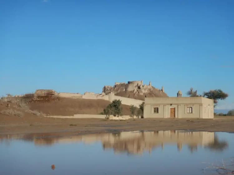 ترند