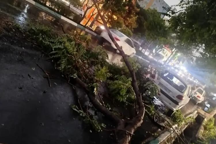 نوشیدنی‌هایی که شما را از گرمازدگی نجات می‌دهد