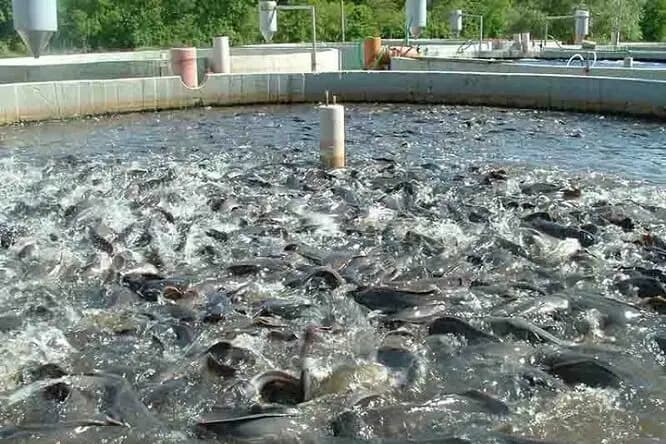واگذاری ۷۰۰ هکتار زمین برای احداث نیروگاه خورشیدی در قم