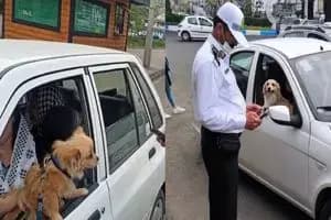 سگ گردانی در این شهر هم ممنوع شد