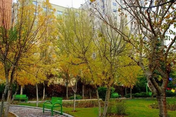بوستان ملل در منطقه ۳ تهران افتتاح شد