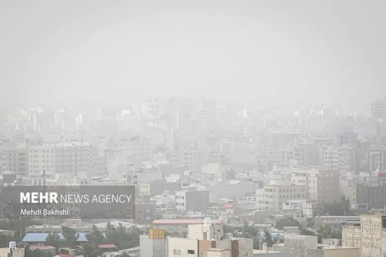 ترند