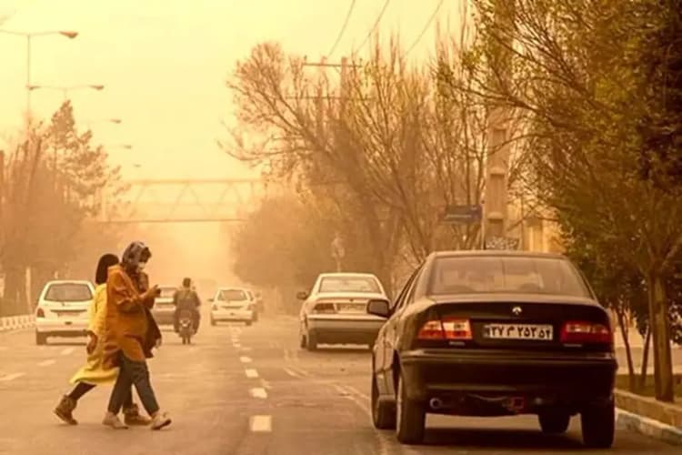 هشدار همشهری: اجرای قانون سگ‌گردانی به جنگ با اقتدار نظام می‌رود
