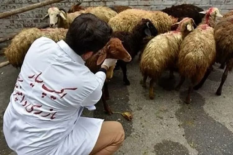 تردد بیش از ۵.۶ میلیون وسیله نقلیه در محورهای چهارمحال‌ و بختیاری