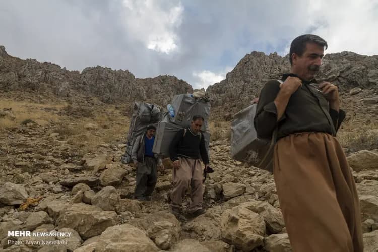 برنامه پیشگیری از تنبلی چشم کودکان در سنندج آغاز شد