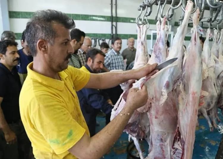 برگزاری بیش از ۱۰۰ هزار برنامه آموزشی در قالب طرح ۱۰ در ۱۰۰