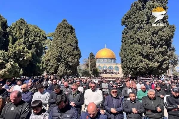 ایلان ماسک جدایی خود از دولت ترامپ را اعلام کرد+ عکس