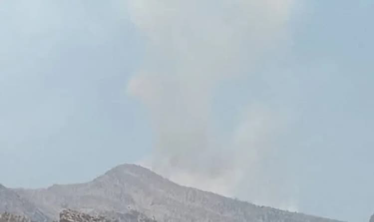 ترند