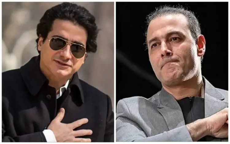 شغل باورنکردنی مادر هومن سیدی فاش شد