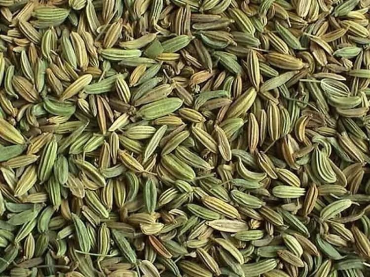 پرستاران مهاجرت نه، اما ترک کار می کنند