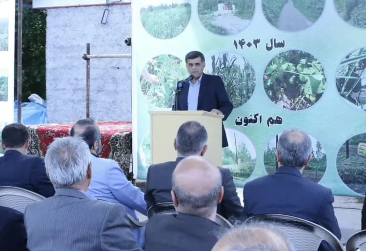 ترند