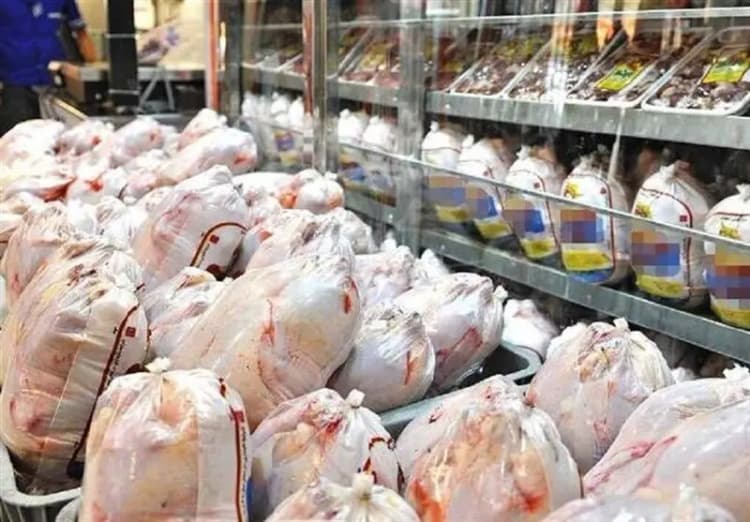 فیلم/ اتوبوس‌های برقی تهران به بندر شهید رجایی رسید