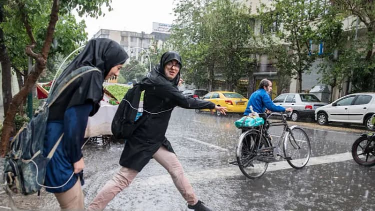 دادستان تهران: پرونده قتل الهه حسین نژاد به شعبه ویژه بازپرسی ارجاع شد